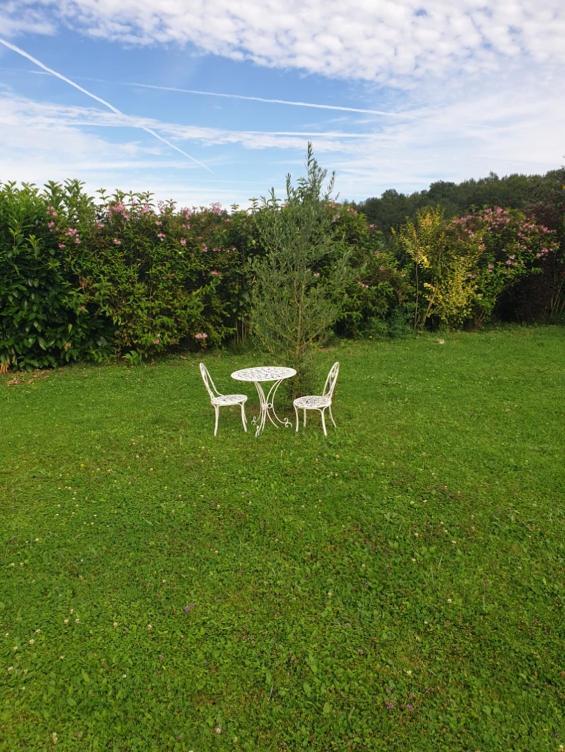 La Toulotte Chez Claire Et Christian Hotel Sancy-les-Provins Bagian luar foto